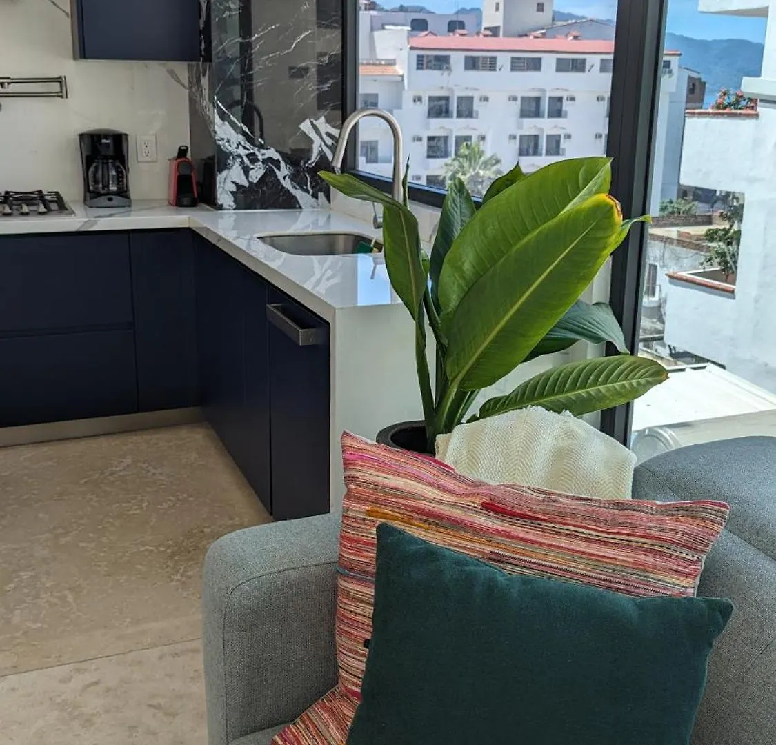 Appartement Ocean View Penthouse In P.V. Romantic Zone Puerto Vallarta